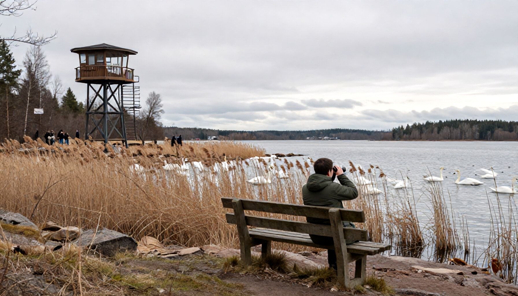 Virallisten lintutornien ulkopuolella: Paikallisten suosimat piilopaikat, joissa lintuhavainnot Espoossa ylittävät odotukset