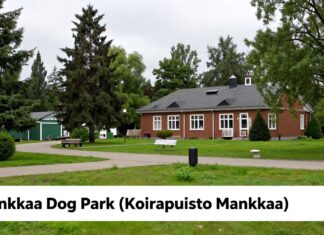 Koirapuisto Mankkaan tarkka sijainti ja parhaat reitit sinne
