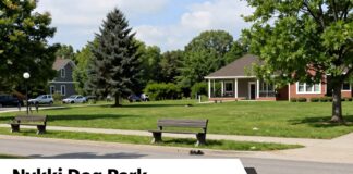 Koirapuisto Nöykkiön tarkka sijainti ja parhaat reitit perille