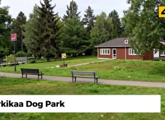Koirapuisto Perkkaa: Osoite, kartta ja parhaat reitit sinne