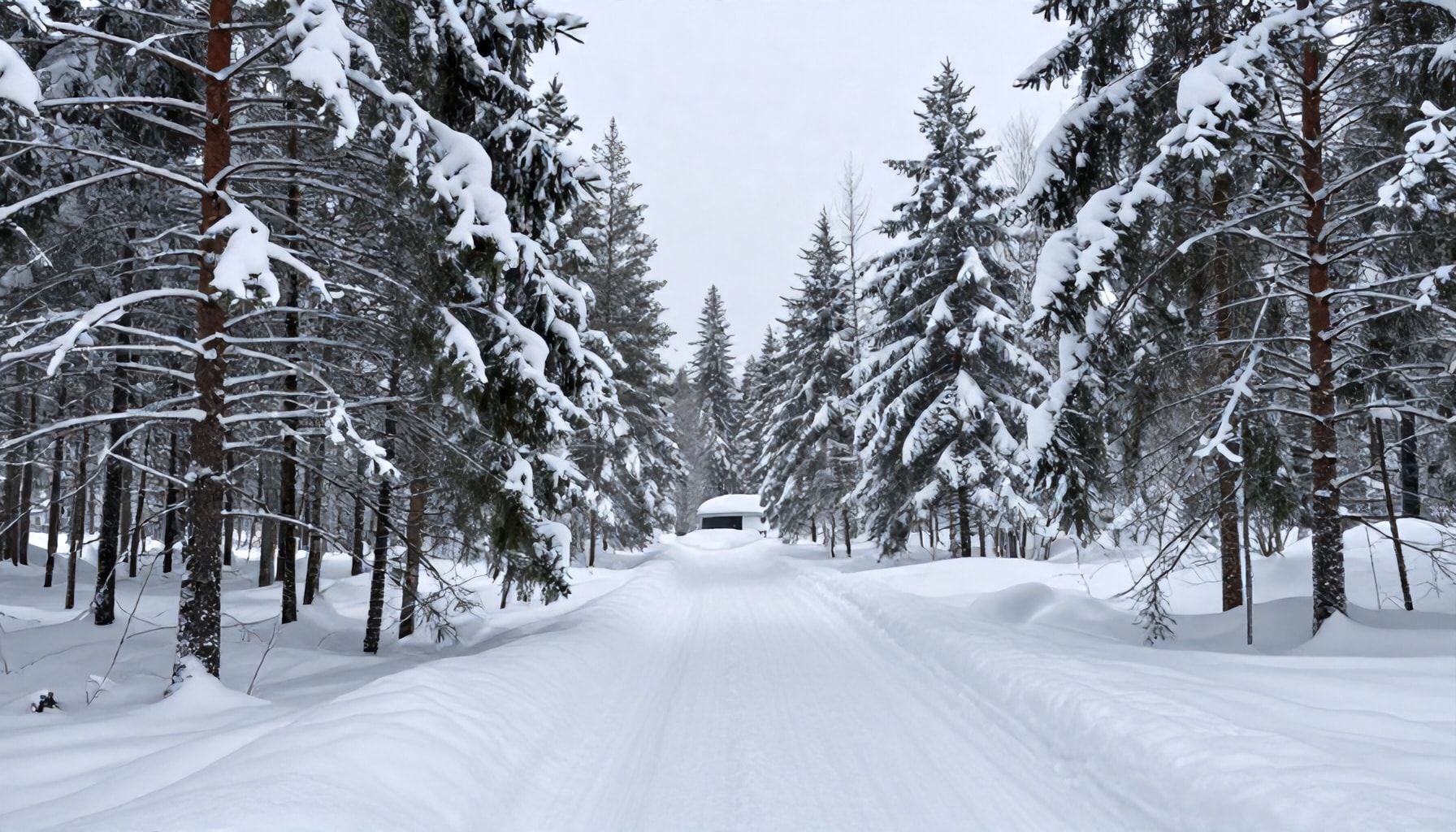 Leppävaaran luonnonhelmet talvella: missä lumi, jää ja metsä yhdistyvät unelmakuviin