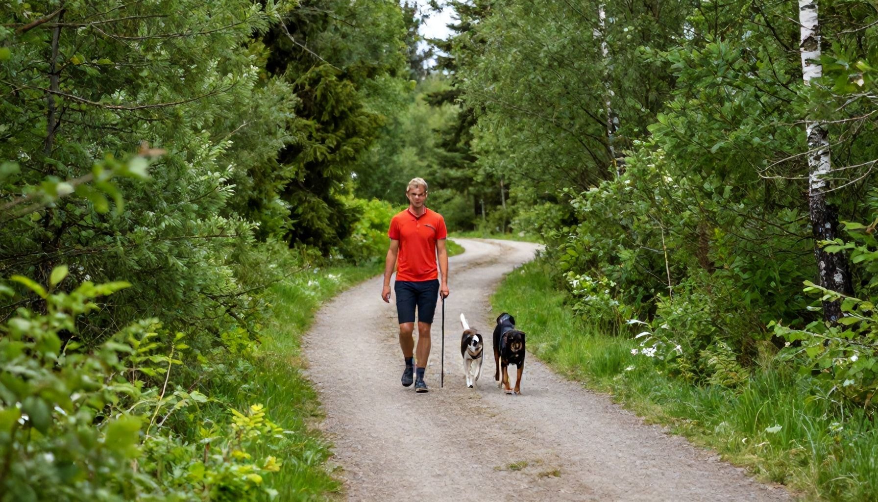 Leppävaaran paras pihamaiden ketju pitkälle lenkille – reitti, jossa koira saa haistella rauhassa ilman pyöräilijöitä