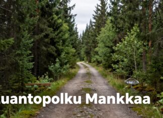 Mankkaan Luontopolun parhaat kohokohdat ja reitin vinkit