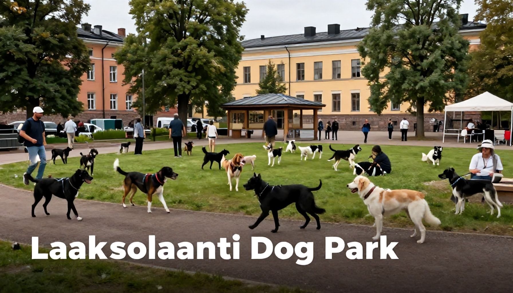 Miksi Laaksolahden koirapuisto on Helsingin suosituimpia: 3 yllättävää syytä, jotka houkuttelevat omistajia toistuvasti