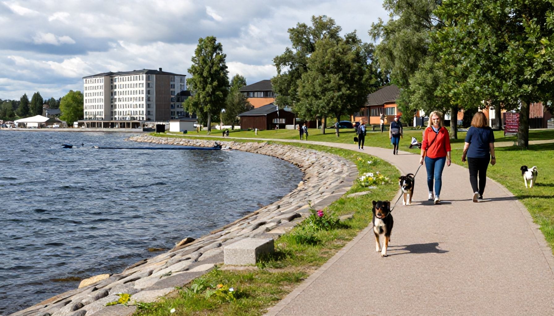 Miksi Otaniemen rannat ovat koirien suosikki: turvalliset uimapaikat ja esteettömät kulkuyhteydet