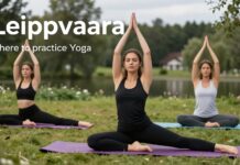 Parhaat paikat joogan harjoitteluun Leppävaarassa – hiljaisista studioista puistoihin