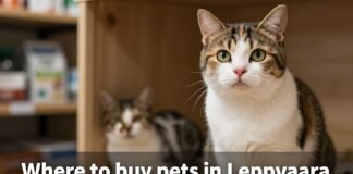 Parhaat lemmikkikaupat Leppävaarassa – laadukkaat tuotteet ja asiantunteva palvelu