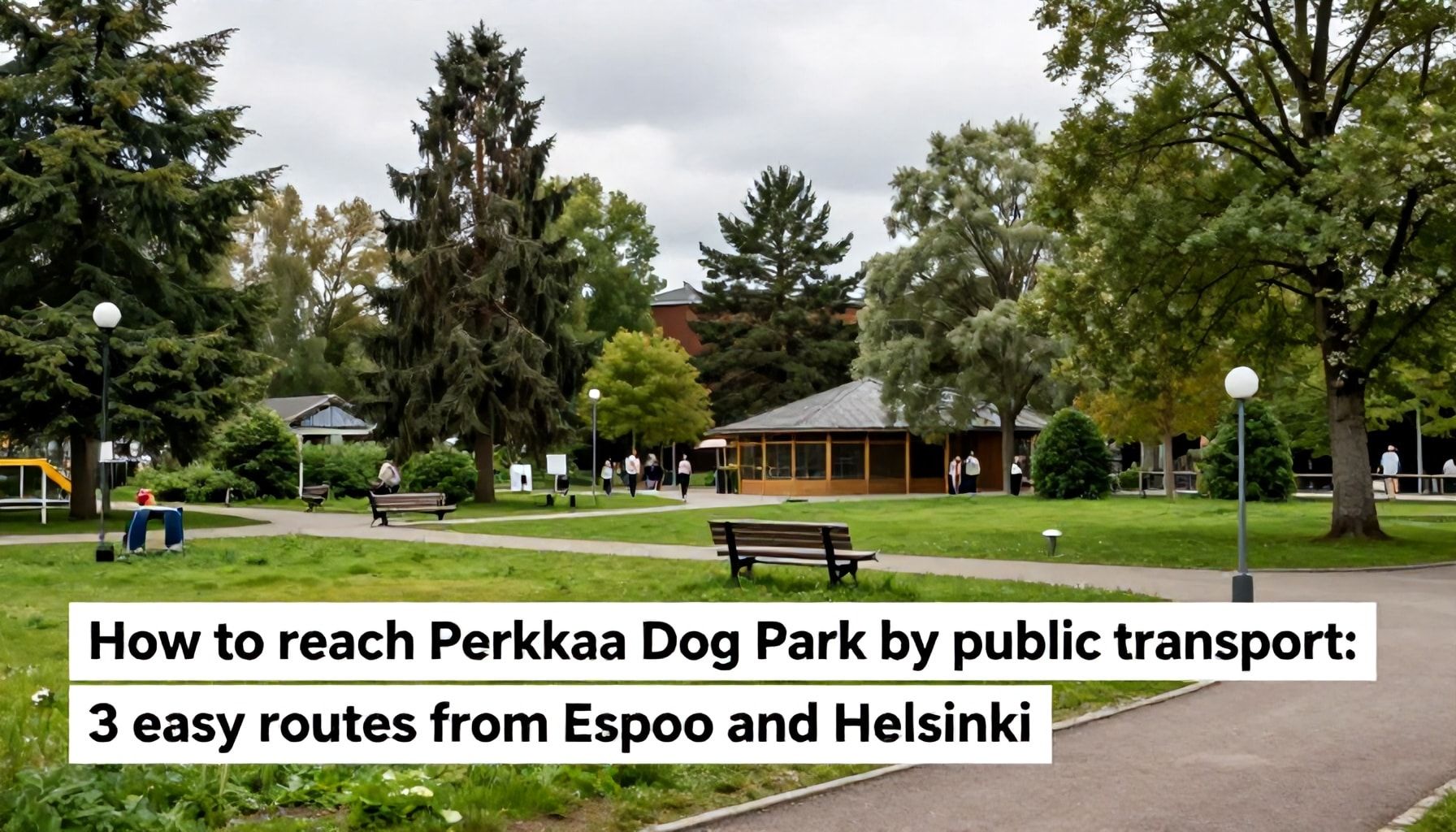 Näin pääset Perkkaan koirapuistoon joukkoliikenteellä: 3 helppoa reittiä Espoosta ja Helsingistä