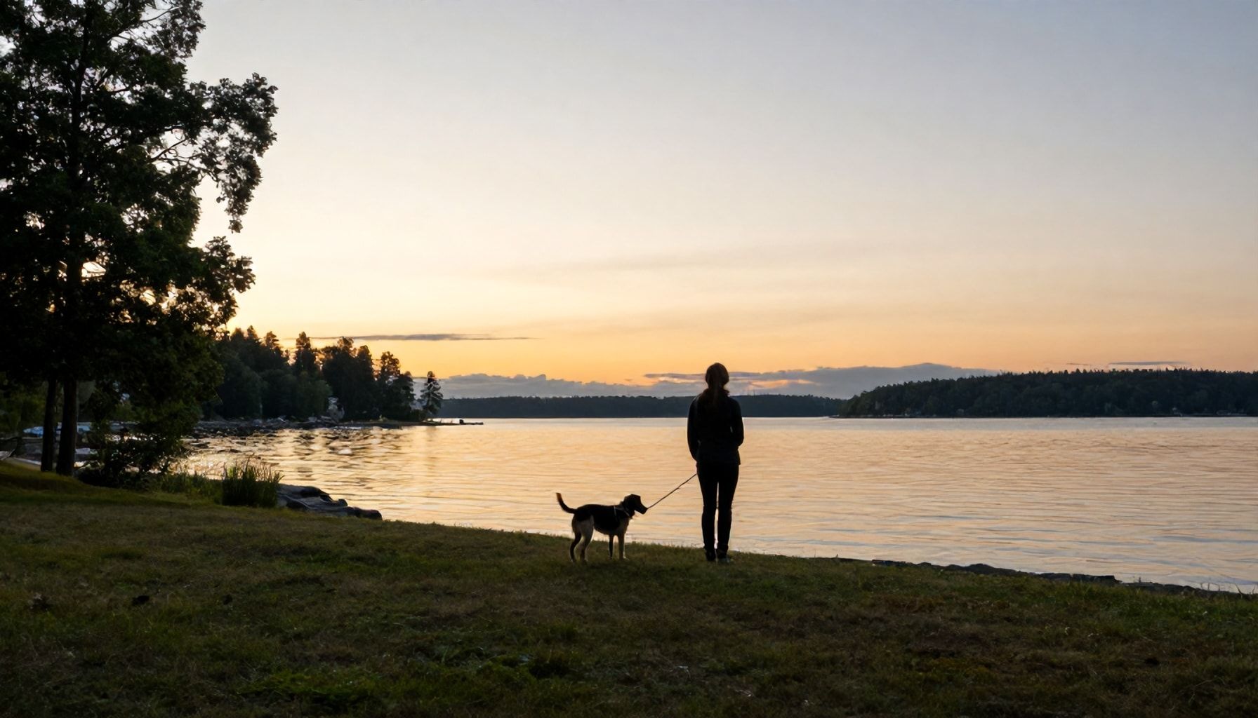Parhaat illan- ja aamuhämäräpaikat, jos koirasi tarvitsee liikuntaa mutta väkijoukkoja ei