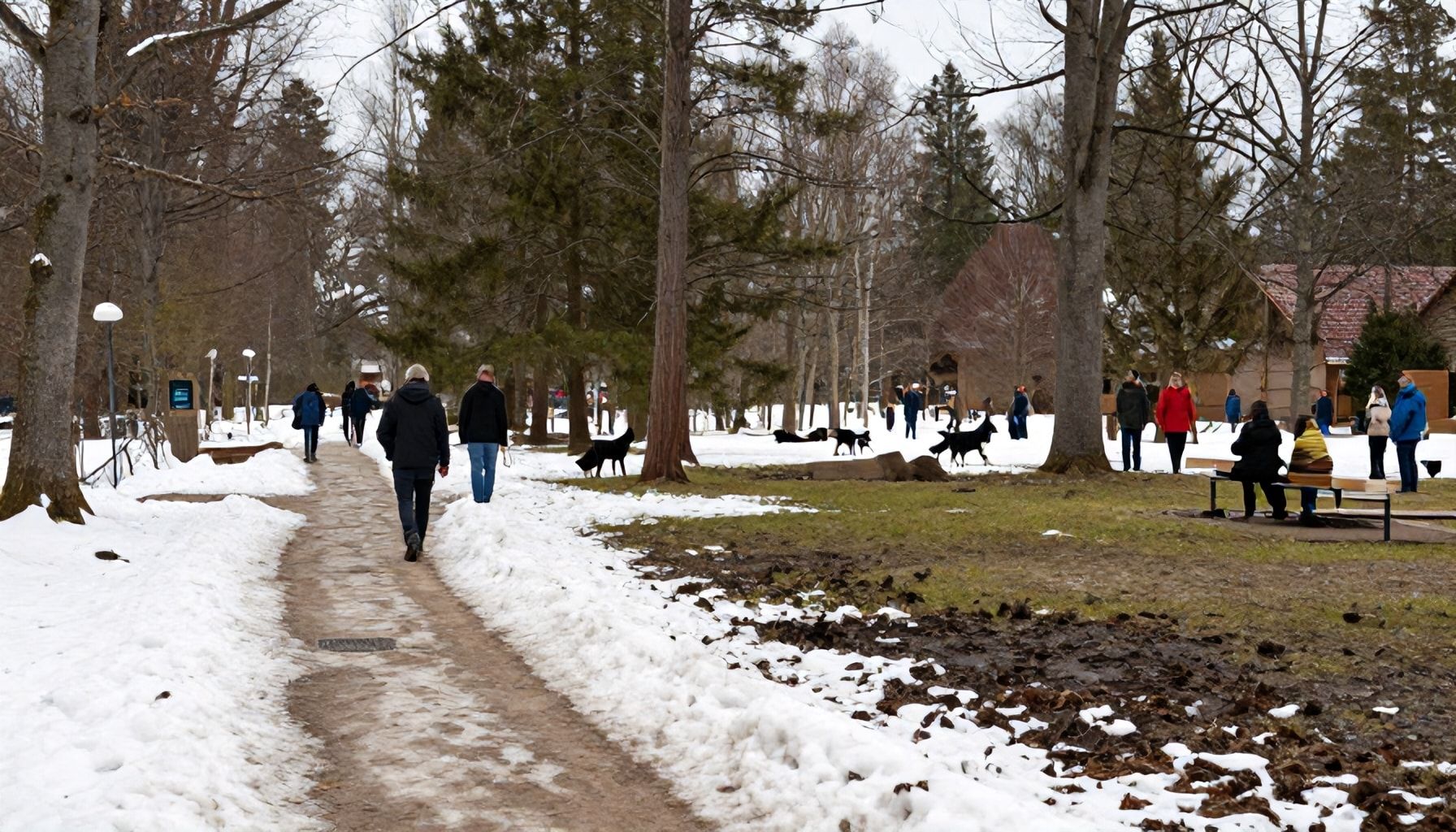 Vuodenajat vaikuttavat – näin koirapuiston reitit ja olosuhteet muuttuvat talvella, keväällä ja kesällä (ja mitä kannattaa varautua)