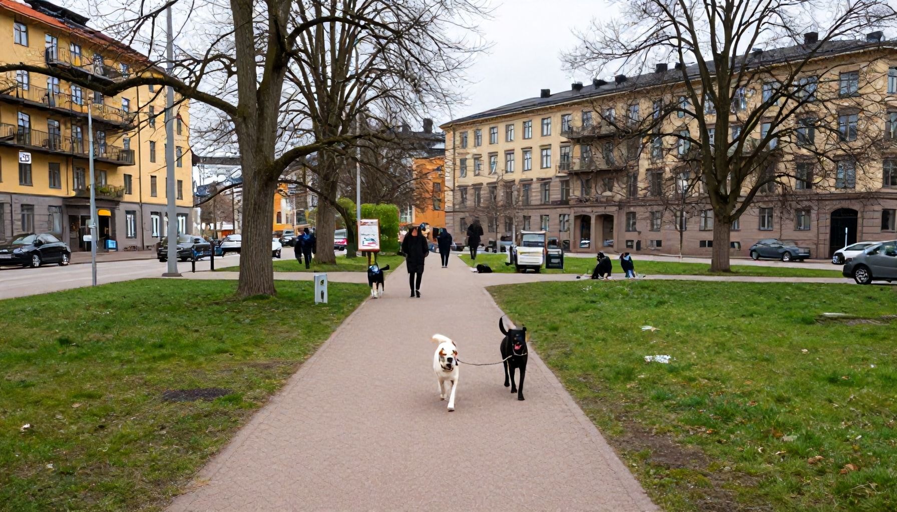 Espoon keskustan salaiset helmiarvot: 3 hiljaista puistoreittiä missä koira voi juosta vapaana ilman talutushihnaakin