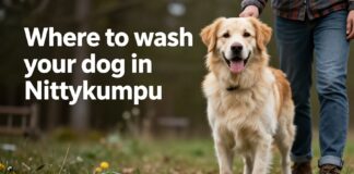 Parhaat koiranpesupaikat Niittykummussa – puhdas turkki ilman stressiä