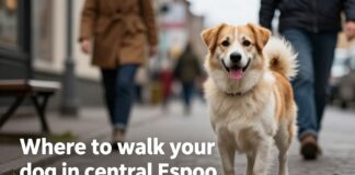 Parhaat lenkkipolut koiran kanssa Espoon keskustassa