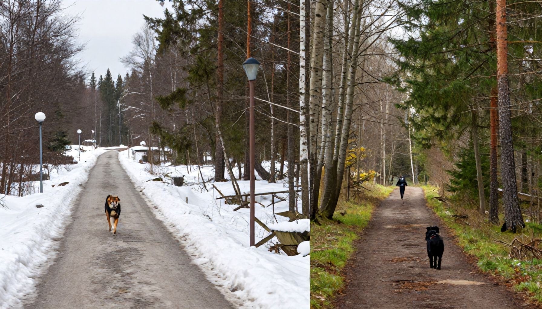 Talvi vs. kesä: Näin valitset vuodenajan mukaan optimaaliset ulkoilutusreitit ilman liukastumisia tai ylikuumenemista